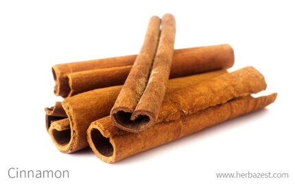 Cinnamon Sticks 1 Kg, a premium offering that adds depth and flavor to your culinary creations. Sourced from the finest cinnamon bark and meticulously hand-selected, these cinnamon sticks boast a rich and intense aroma that elevates both sweet and savory dishes.